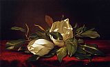 Magnoliae Grandeflorae